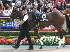 20151101 東京9R 精進湖特別 ツクバアスナロ 04