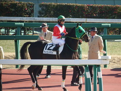 20180114 中山2R 3歳未勝利 アイコンタクト 11