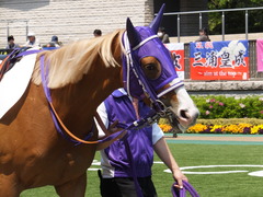 20140426 東京4R スクノード 08
