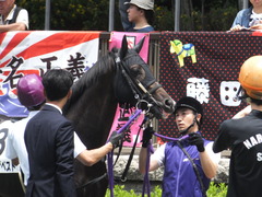 20160612 東京3R 3歳未勝利 ステイザベスト 11