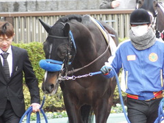 20180128 東京4R 3歳未勝利 ミッキーバード 03