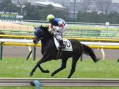 20160130 東京4R 3歳未勝利 アタンドリール 13