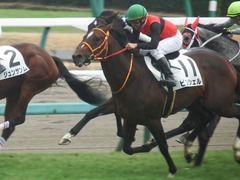 20181223 中山3R 2歳未勝利 ピンシェル 22