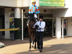 20140412 中山12R ヴィルトグラーフ 06