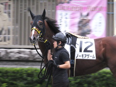 20161022 東京12R (1000) ノーモアゲーム 07