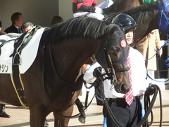 20181215 中山7R 2歳未勝利 ショウナンサジン 13