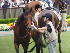 20160528 東京8R 4歳上500万下 トーセンカナロア 10