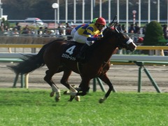 20181125 東京8R オリエンタル賞(1000) ロジスカーレット 23