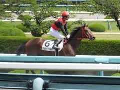 20170603 阪神3R 3歳未勝利 フェアチャイルド 31