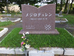 メジロデュレン