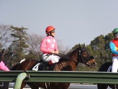 20140118 中山競馬場 ツクバアスナロ 17