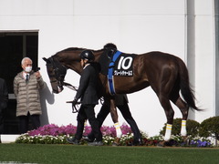 20140321 中山10R グレートチャールズ 06