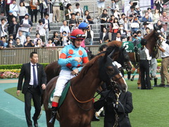 20161008 東京11R サウジアラビアRC(G3) クライムメジャー 13