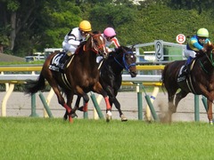 20160507 東京11R プリンシパルS モーゼス 15