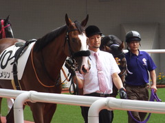 20161002 阪神5R 2歳メイクデビュー プンメリン 04