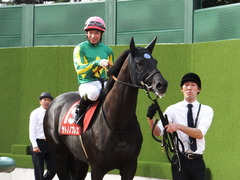 20150927 中山11R オールカマー サトノノブレス 14