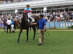 20150919 中山4R 3歳未勝利 ジュンコアー 09