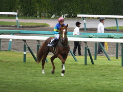 20150927 中山9R 芙蓉ステークス プランスシャルマン 17