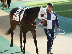 20171126 東京1R 2歳未勝利 サラート 06