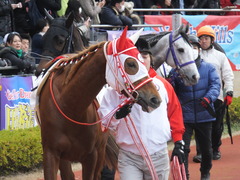 20141207 中京4R 2歳未勝利 レーヌドブリエ 08