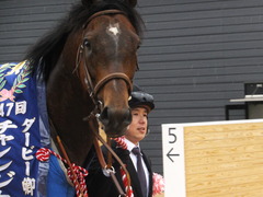 2015ダービー卿チャレンジトロフィー制覇 モーリス 04