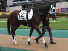 20160130 東京3R 3歳未勝利 カズノメガミ 06