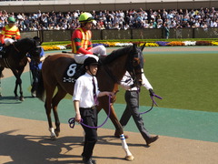 20130505 東京10R ユーロビート
