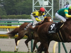 20160424 東京9R 府中S (1600) アッシュゴールド 15