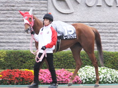 20151123 東京10R 鷹巣山特別 レーヌドブリエ 06