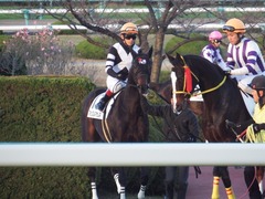 20181208 阪神12R (500) マッスルマサムネ 16