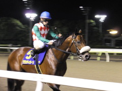 20151104 大井11R マイルグランプリ(S2) グランディオーソ 08