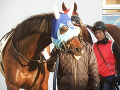 20190119 中山12R 4歳上(1000) アドマイヤシナイ 05