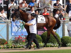 20151004 中山7R 3歳上500万下 トーセンカナロア 04