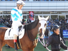 20151226 中山2R 2歳未勝利 カズノメガミ 10