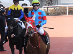 20170225 阪神9R 丹波特別(500) レーヌドブリエ 32