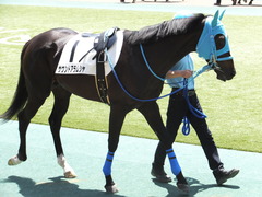 20150517 東京3R 3歳未勝利 サウンドアラムシャ 07
