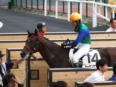 20160903 札幌12R (500) トーセンカナロア 21