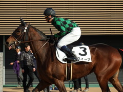 20171216 中山2R 2歳牝馬未勝利 ルフィーナ 14