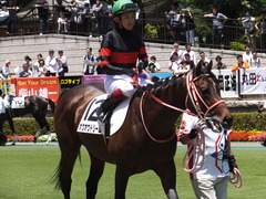 20170604 東京4R 3歳未勝利 ホウオウドリーム 19
