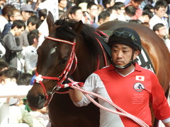 20180401 阪神10R 御堂筋S(1600) ホウオウドリーム 23