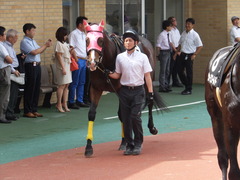 20160710 中京10R 木曽川特別(1000) ビップレボルシオン 16