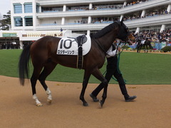 20150321 中山5R 3歳未勝利 ロジダーリング 06