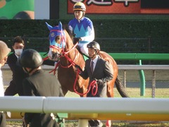 20181117 東京11R 東スポ杯2歳S(G3) アドマイヤスコール 16