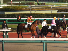 20131207 中山競馬場 ユーロビート 15