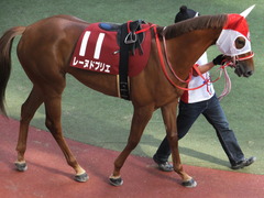20150920 阪神11R ローズS(G2) レーヌドブリエ 06