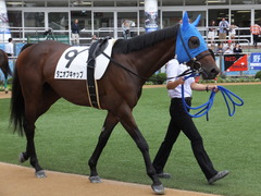 20150927 中山3R 3歳未勝利 タニオブキャップ 04