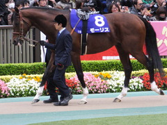 20161030 東京11R 天皇賞・秋(G1) モーリス 07