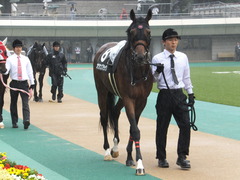 20141012 東京10R レジェンドTC オウケンブラック 04