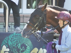20180317 中山3R 3歳未勝利 エイカイオリンピア 06