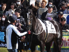 20170226 中山6R 3歳未勝利 バトルオスカー 15